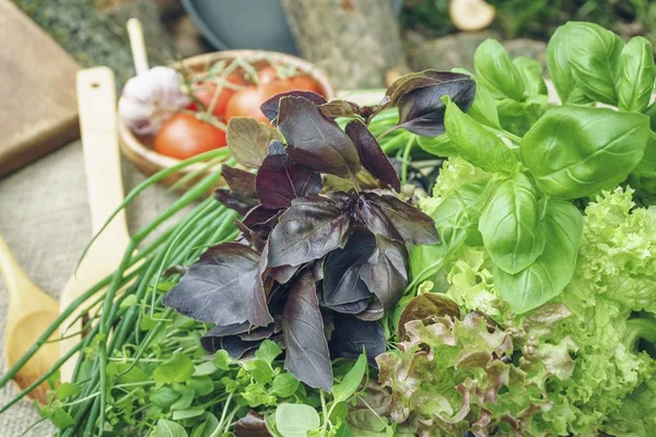 Свежие органические базилик, тимьян и листья салата с деревенской посудой . — стоковое фото