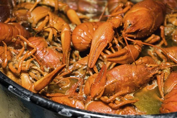 Udang rebus dengan rempah-rempah . — Stok Foto