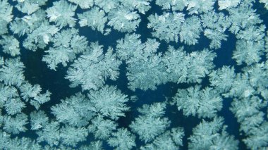 Arka plan - buzlu kar tanelerinin camdaki deseni