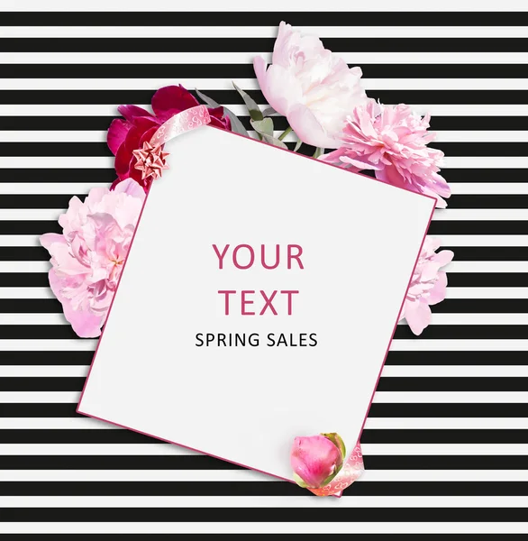Flower banner on the white black striped background. Pink peonies and square for text