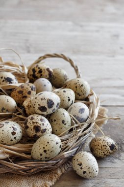 Sepette bıldırcın yumurtası 