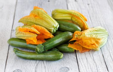 kabak ve kabak çiçekleri 