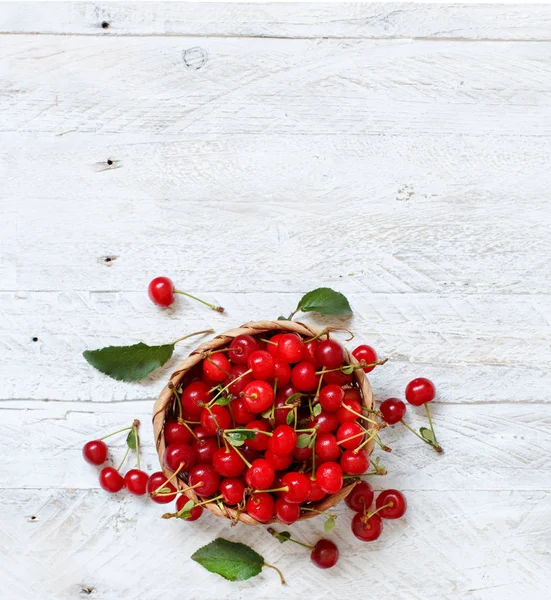 Fresh sour cherries — Stock Photo, Image