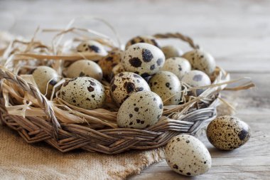 Sepette bıldırcın yumurtası 