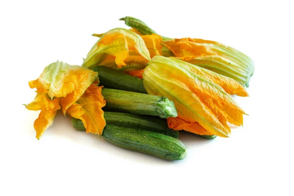 Courgette en courgette bloemen — Stockfoto