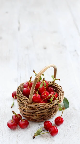 Fresh sour cherries — Stock Photo, Image