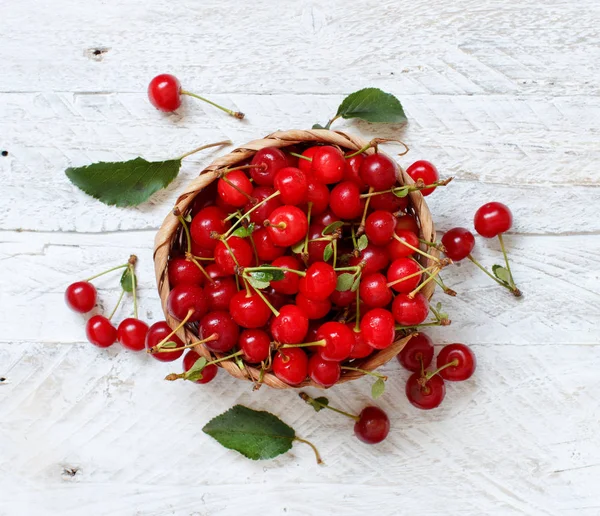 Fresh sour cherries — Stock Photo, Image