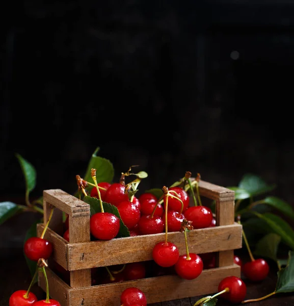 Fresh sour cherries — Stock Photo, Image