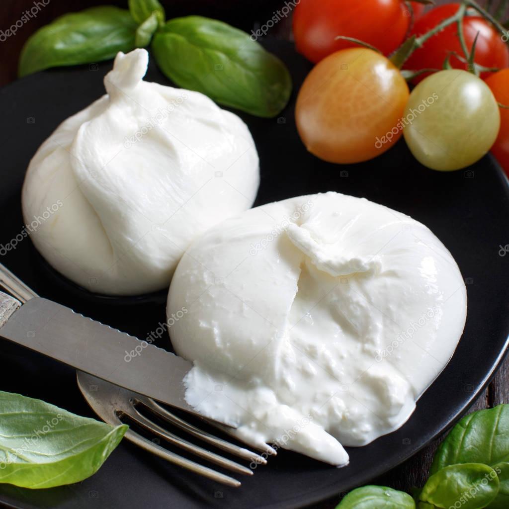 Italian cheese burrata