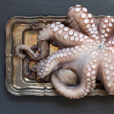 Tepsi üzerinde ham ahtapot