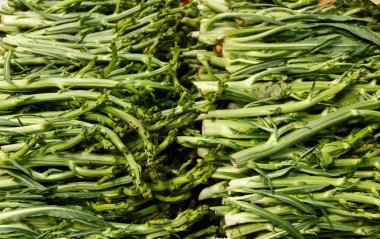 Puntarelle, kuşkonmaz hindiba