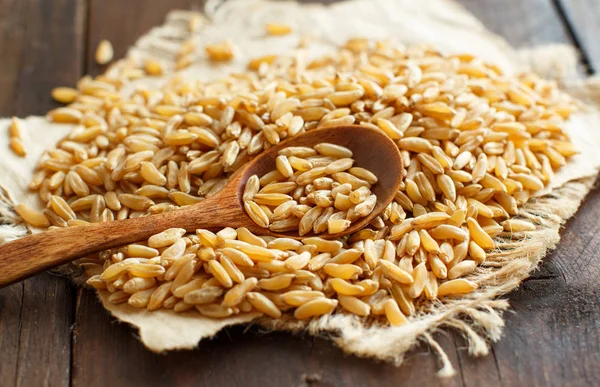 Mucchio di grano di Kamut — Foto Stock