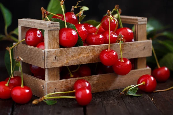 Fresh sour cherries — Stock Photo, Image