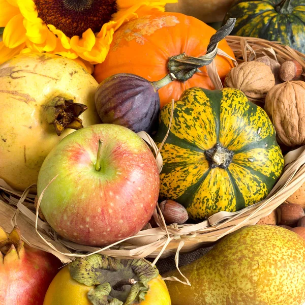 Autumn background with fruits, pumpkins, sunflower and nuts — Stock Photo, Image