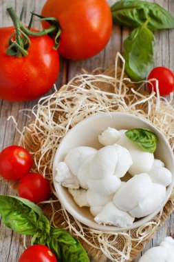 İtalyan peynir mozzarella nodini domates ve otlar ile 