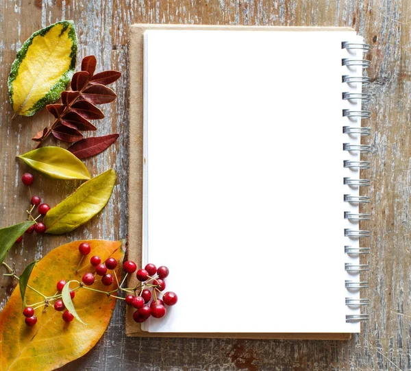 Autumn  leaves and notebook — Stock Photo, Image