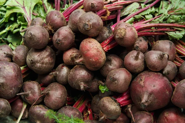 对农民的市场的顶部用红甜菜 — 图库照片