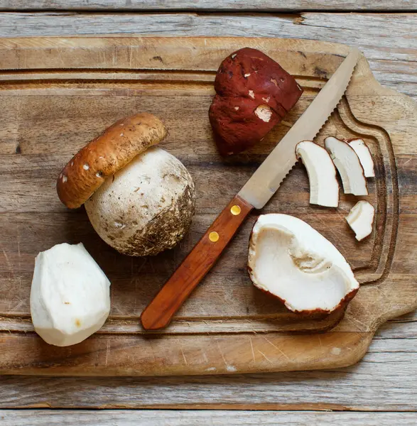 Vahşi porcino mantar