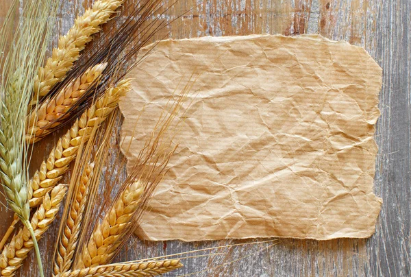 Grain spikes and craft paper — Stock Photo, Image