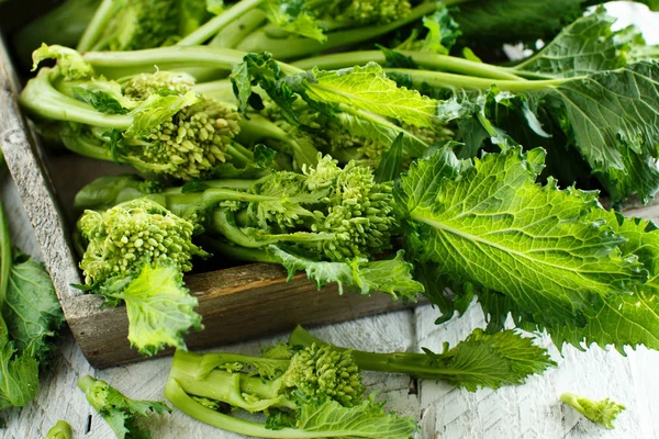 Şalgam Yeşiller, İtalya'dan Cime Di tecavüz