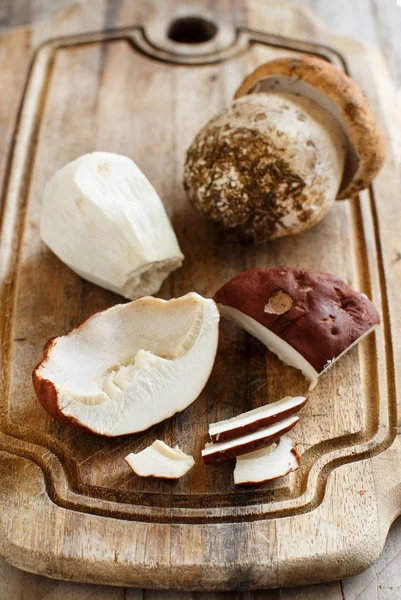 Vahşi porcino mantar