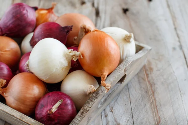 Raw onions in basket — Stock Photo, Image