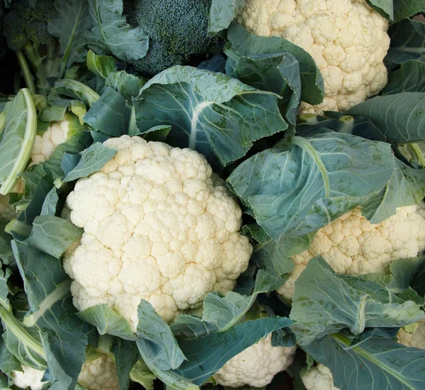 Coliflor fresca cruda — Foto de Stock