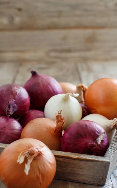 Raw onions in box — Stock Photo, Image