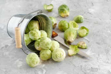 Brüksel lahanası gri bir arka plan üzerinde 