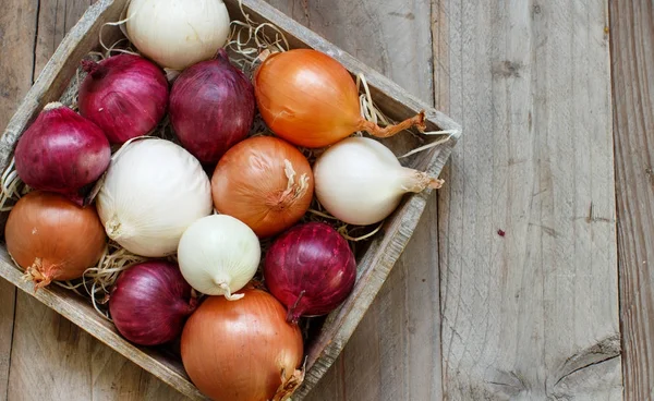 Raw onions in basket — Stock Photo, Image