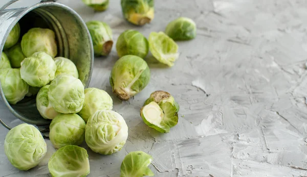 Rosenkohl sprießt im Eimer — Stockfoto