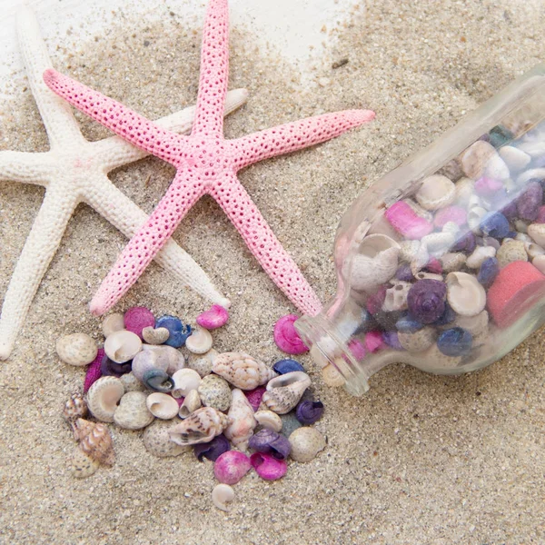 Conchas de mar y estrellas de mar sobre arena — Foto de Stock