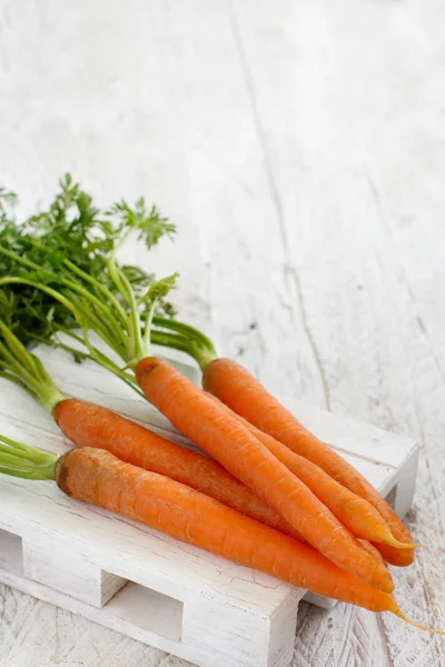 Zanahorias frescas crudas con hojas — Foto de Stock