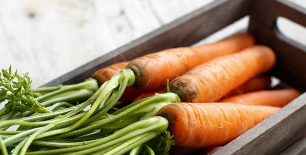 Свежая сырая морковь с листьями в коробке — стоковое фото