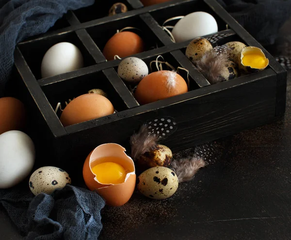 Gallina y huevos de codorniz en una caja — Foto de Stock