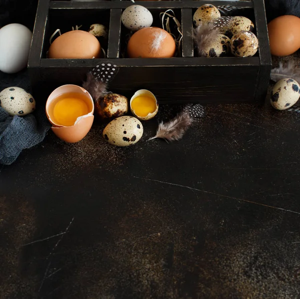 Gallina y huevos de codorniz en una caja — Foto de Stock