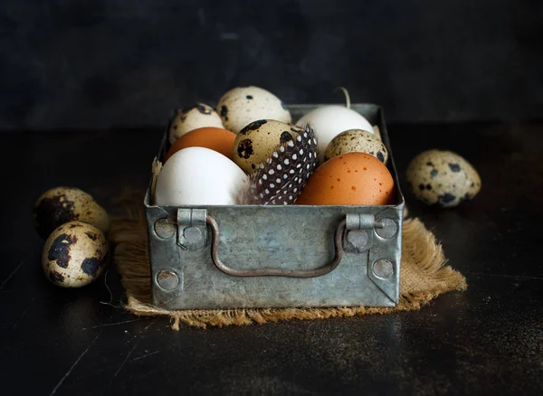 Pollo y huevos de codorniz en una caja — Foto de Stock