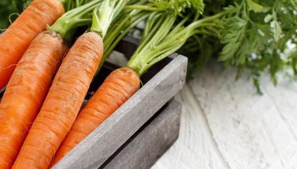 Zanahorias frescas crudas — Foto de Stock