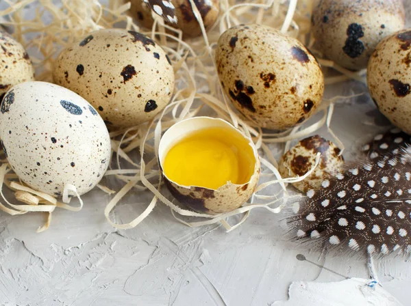 Перепелиные яйца закрываются — стоковое фото
