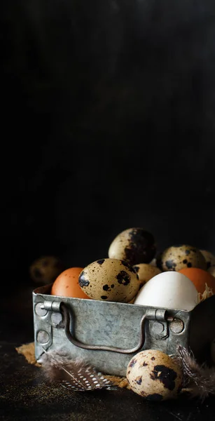 Куриные и перепелиные яйца в коробке — стоковое фото