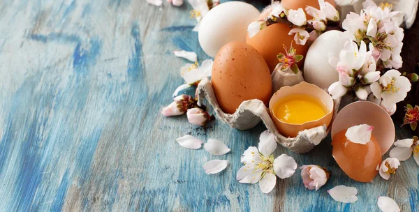 Huevos de pollo y flores de almendras —  Fotos de Stock