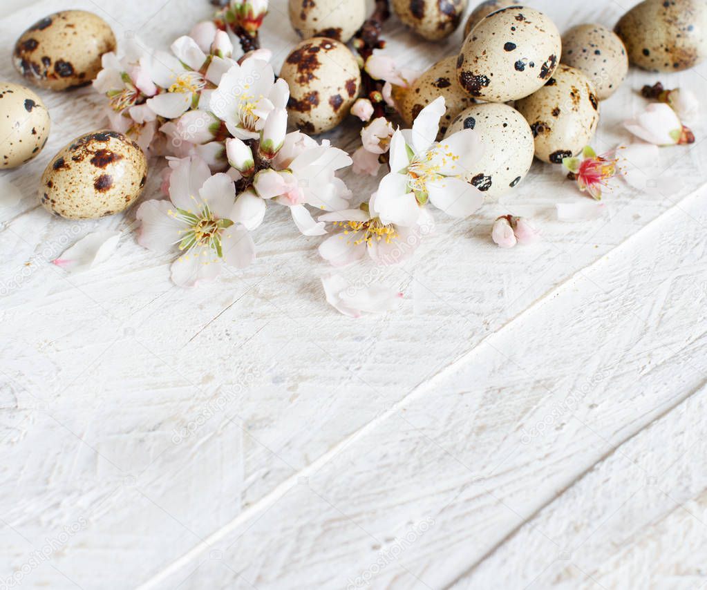 Quail eggs and almond flowers