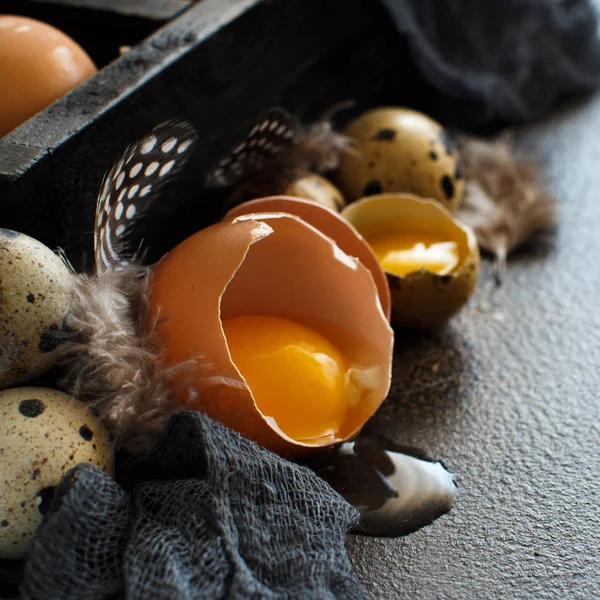 Pollo y huevos de codorniz en una caja — Foto de Stock