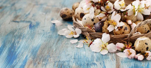 Uova di quaglia e fiori di mandorla — Foto Stock