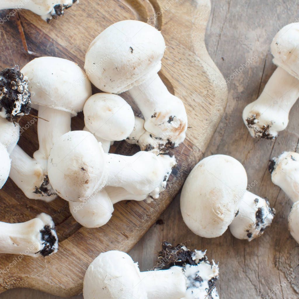 Champignon Mushrooms  on a table