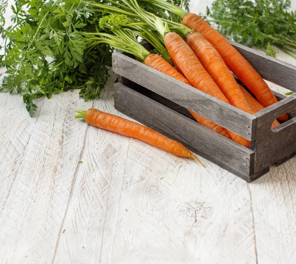 Fresh raw carrots with leaves — Stock Photo, Image