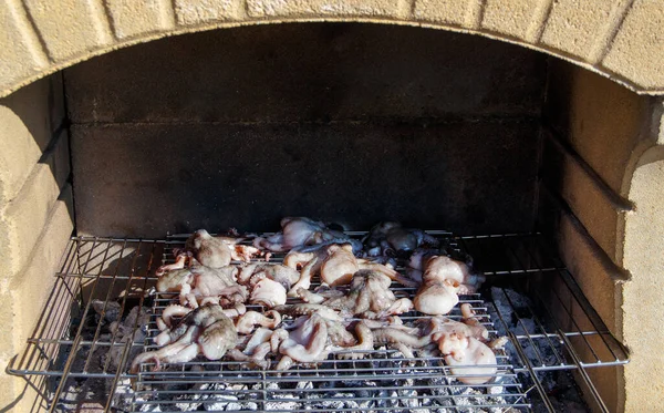 Gegrilde octopussen koken op een metalen grill close-up — Stockfoto