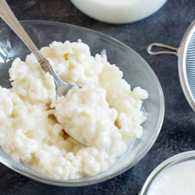 Kefir tahıl ve fermente içecek kefir