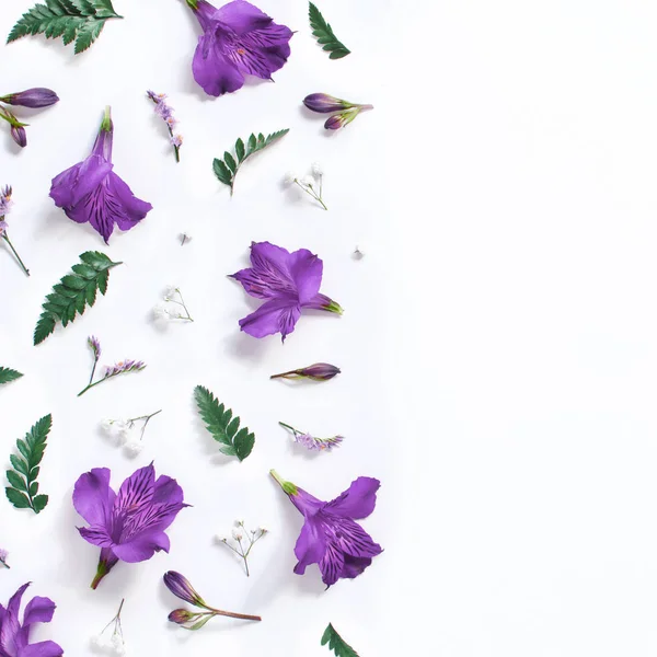 Квіти і листя на білому тлі — стокове фото