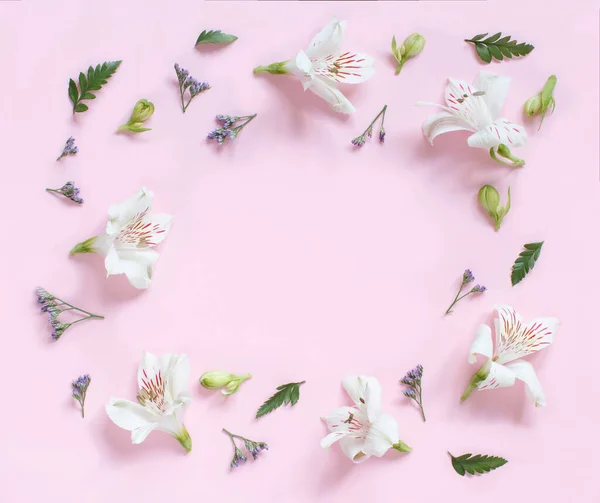 Квіти на світло-рожевому тлі — стокове фото